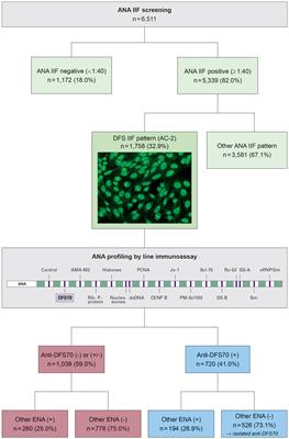 Recognition and Relevance of Anti-DFS70 Autoantibodies in Routine Antinuclear Autoantibodies Testing at a Community Hospital